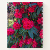 Red Rhododendron Blooms Floral-Notebook Notizblock (Rückseite)
