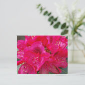 Red Rhododendron Postcard Postkarte (Stehend Vorderseite)
