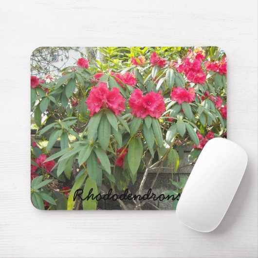 Red Rhododendrons Mousepad (Mit Mouse)