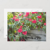 Red Rhodos - Denken Sie an Sie... Postkarte (Vorne/Hinten)