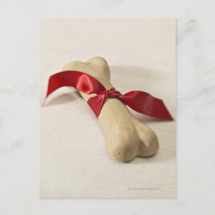 Red Ribbon an die Leckerei des Hundes gebunden Postkarte