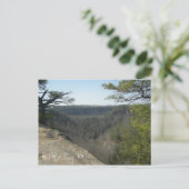 Red River Gorge, KY Postcard Postkarte (Stehend Vorderseite)