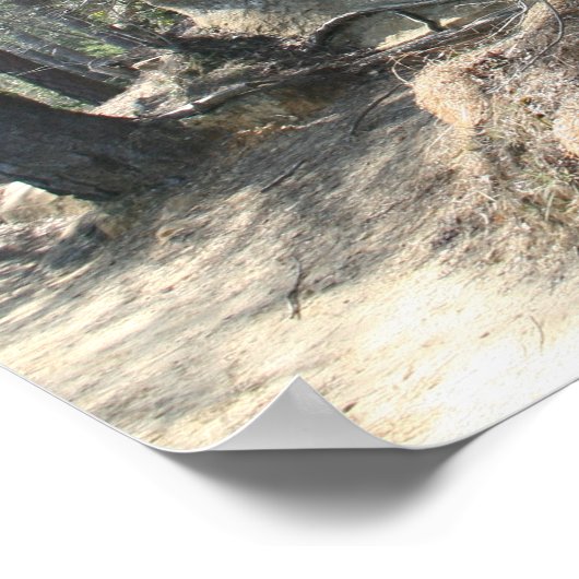 Red River Gorge, KY - Skybridge 2 Poster (Ecke)