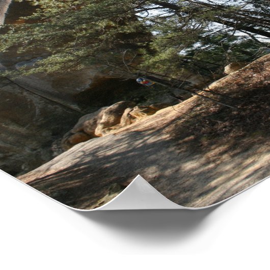 Red River Gorge, KY - Skybridge Poster (Ecke)