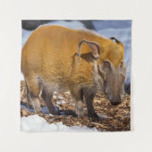 Red River Hog im Schnee Wandteppich (Vorderseite)
