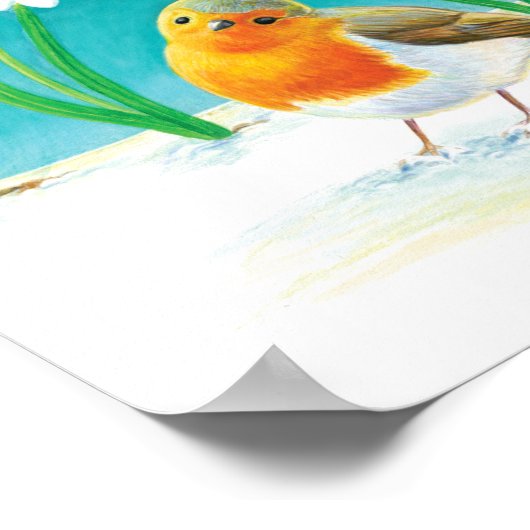 Red Robin Bird Illustration Poster (Ecke)