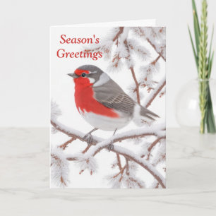 Red Robin Bird in Snow Feiertagskarte