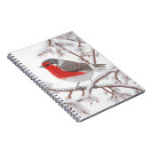 Red Robin Bird in Snow Notizblock (Rechte Seite)