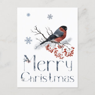 Red Robin Bird setzt sich auf eine Rowan-Zweigstel Postkarte