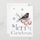 Red Robin Bird setzt sich auf eine Rowan-Zweigstel Postkarte (Vorne/Hinten)