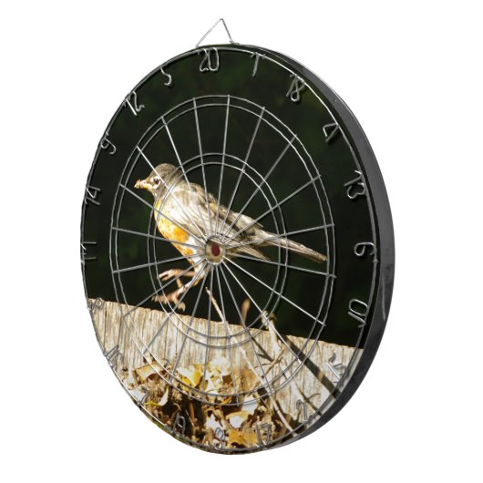 Red Robin Bobbin Dartscheibe (Vorderseite rechts)