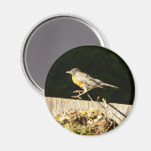 Red Robin Bobbin Magnet (Vorderseite/Rückseite)