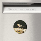 Red Robin Bobbin Magnet (In Situ (Geschirrspüler))