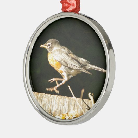 Red Robin Bobbin Ornament Aus Metall (Links)