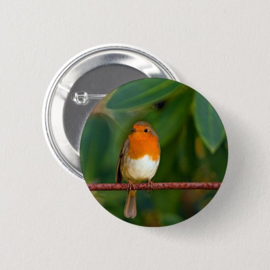 Red ROBIN Button (Vorne & Hinten)