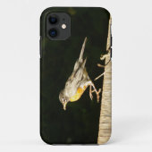 Red Robin Case-Mate iPhone Hülle (Rückseite)