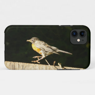 Red Robin Case-Mate iPhone Hülle