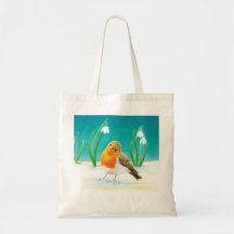 Red Robin (Erithacus rubecula) und Snowdrops