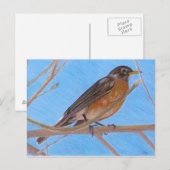 Red Robin Fine Art Nature Postcard Postkarte (Vorne/Hinten)