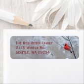 Red Robin in Snow Weihnachten (Insitu)