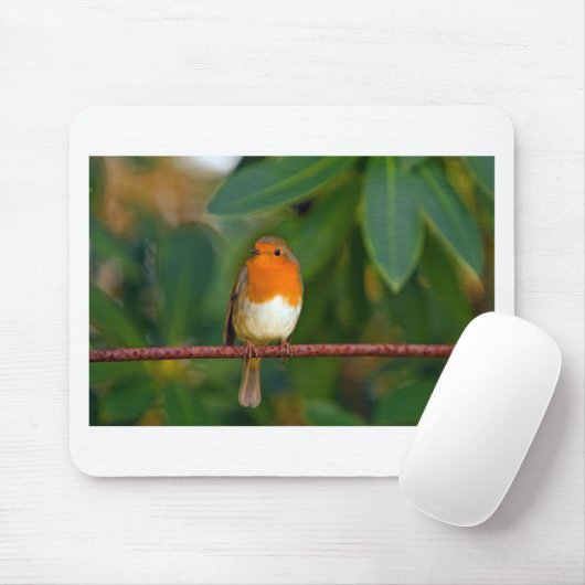 Red ROBIN Mousepad (Mit Mouse)
