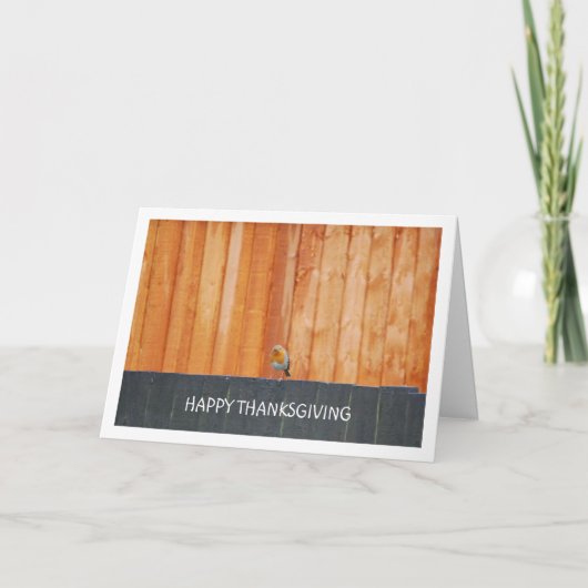 Red Robin on Fence Karte (Vorderseite)