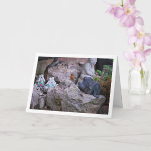 Red Robin on Rockery Karte