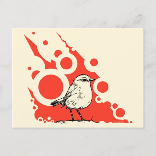 Red Robin Postcard Postkarte (Vorderseite)