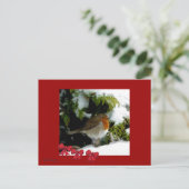Red Robin Postcard Postkarte (Stehend Vorderseite)