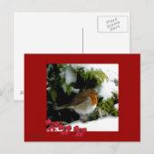 Red Robin Postcard Postkarte (Vorne/Hinten)