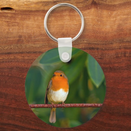 Red ROBIN Schlüsselanhänger (Vorderseite)