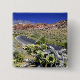 Red Rock Canyon National Conservation Area, Las Button