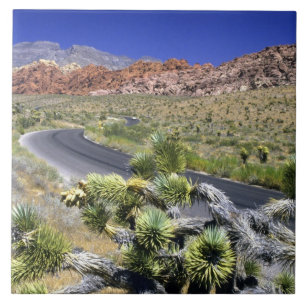 Red Rock Canyon National Conservation Area, Las Fliese