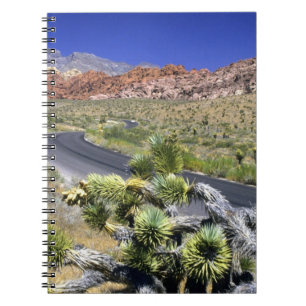 Red Rock Canyon National Conservation Area, Las Notizblock