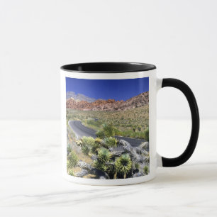 Red Rock Canyon National Conservation Area, Las Tasse