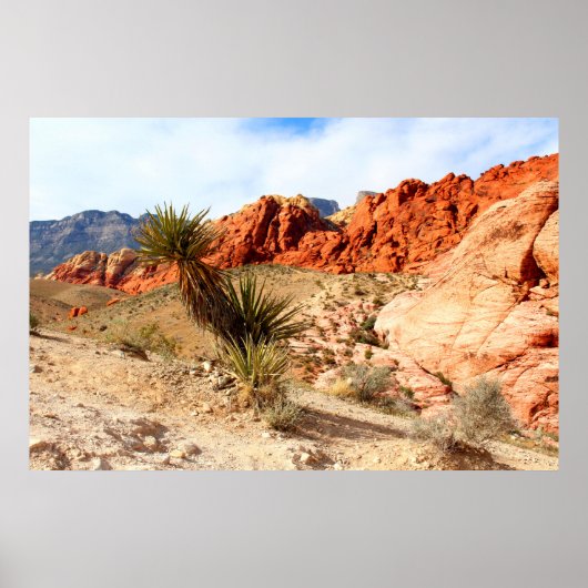 Red Rock Canyon Spring Mountains Hintergrund Poster (Vorne)