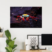 Red Rock Crab Poster (Heimbüro)