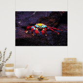 Red Rock Crab Poster (Küche)