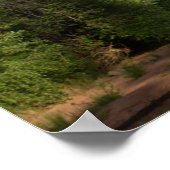 Red Rock Crossing 4143 Poster (Ecke)