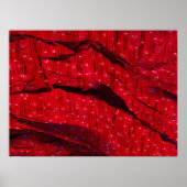 Red Rock Lite Poster (Vorne)