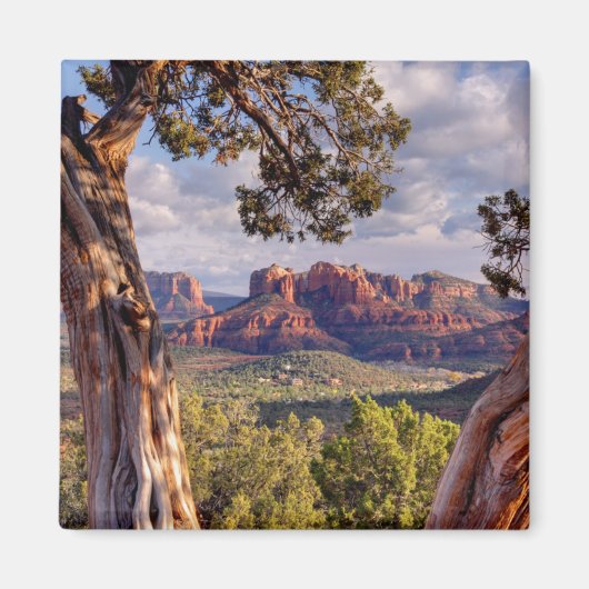 Red Rock | Sedona Arizona Magnet (Vorne)