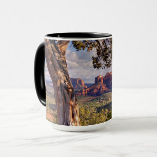 Red Rock   Sedona Arizona Tasse