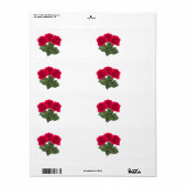 Red Rose (Vorne)