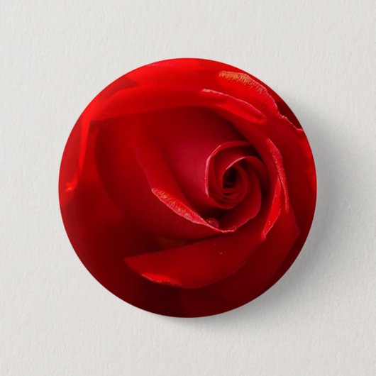 Red-Rose-3.jpg Button (Vorderseite)