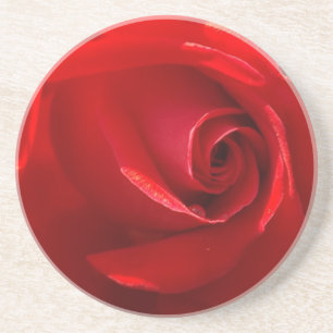 Red-Rose-3.jpg Getränkeuntersetzer
