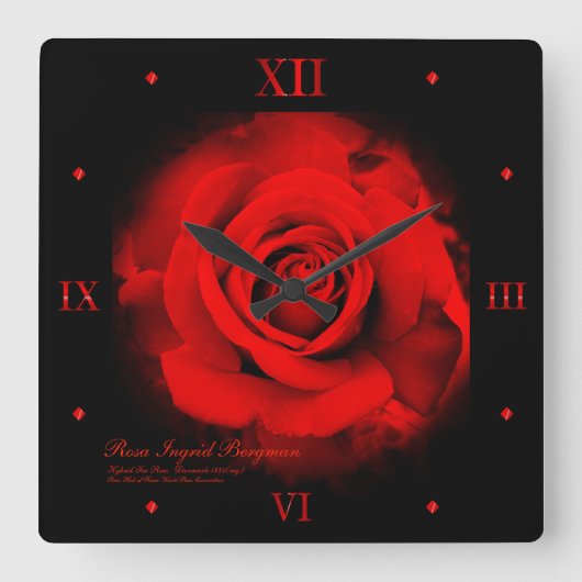 Red Rose:Acrylic Wall Clock Quadratische Wanduhr (Vorderseite)