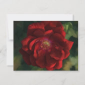 Red Rose Art Flower Floral Note Card Set Mitteilungskarte (Vorderseite)