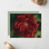 Red Rose Art Flower Floral Note Card Set Mitteilungskarte (Vorderseite/Rückseite Beispiel)