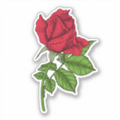Red Rose Aufkleber (Vorderseite)