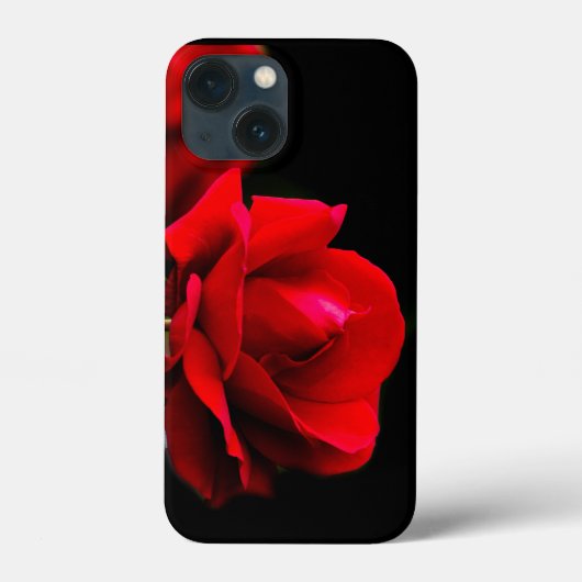 Red Rose Case-Mate iPhone Hülle (Rückseite)